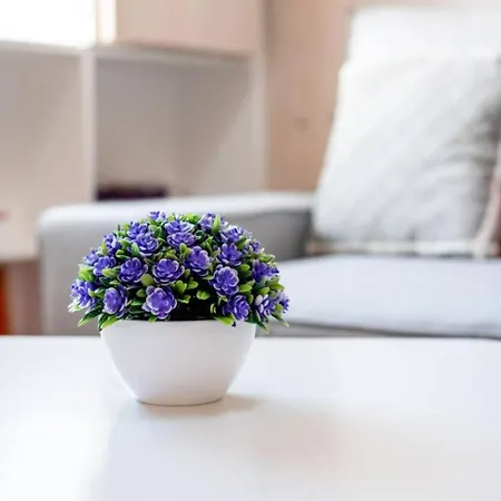 Апартаменты Alfama's Charm